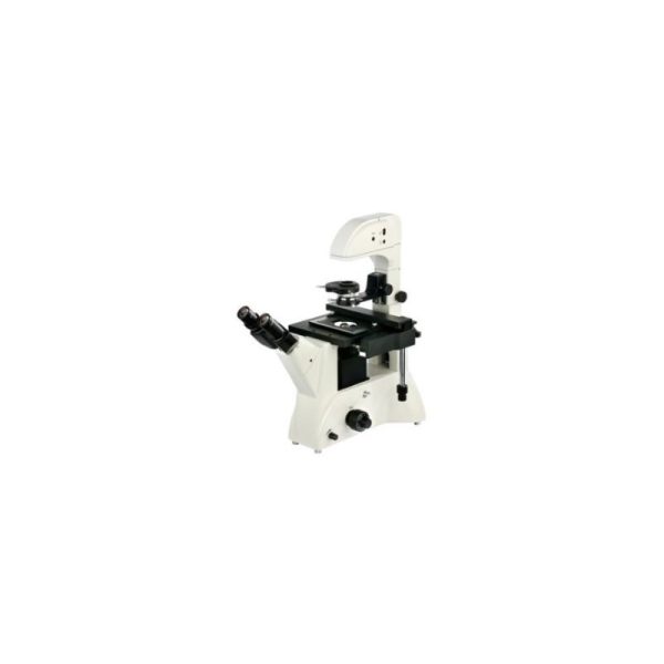 Microscopio invertido
